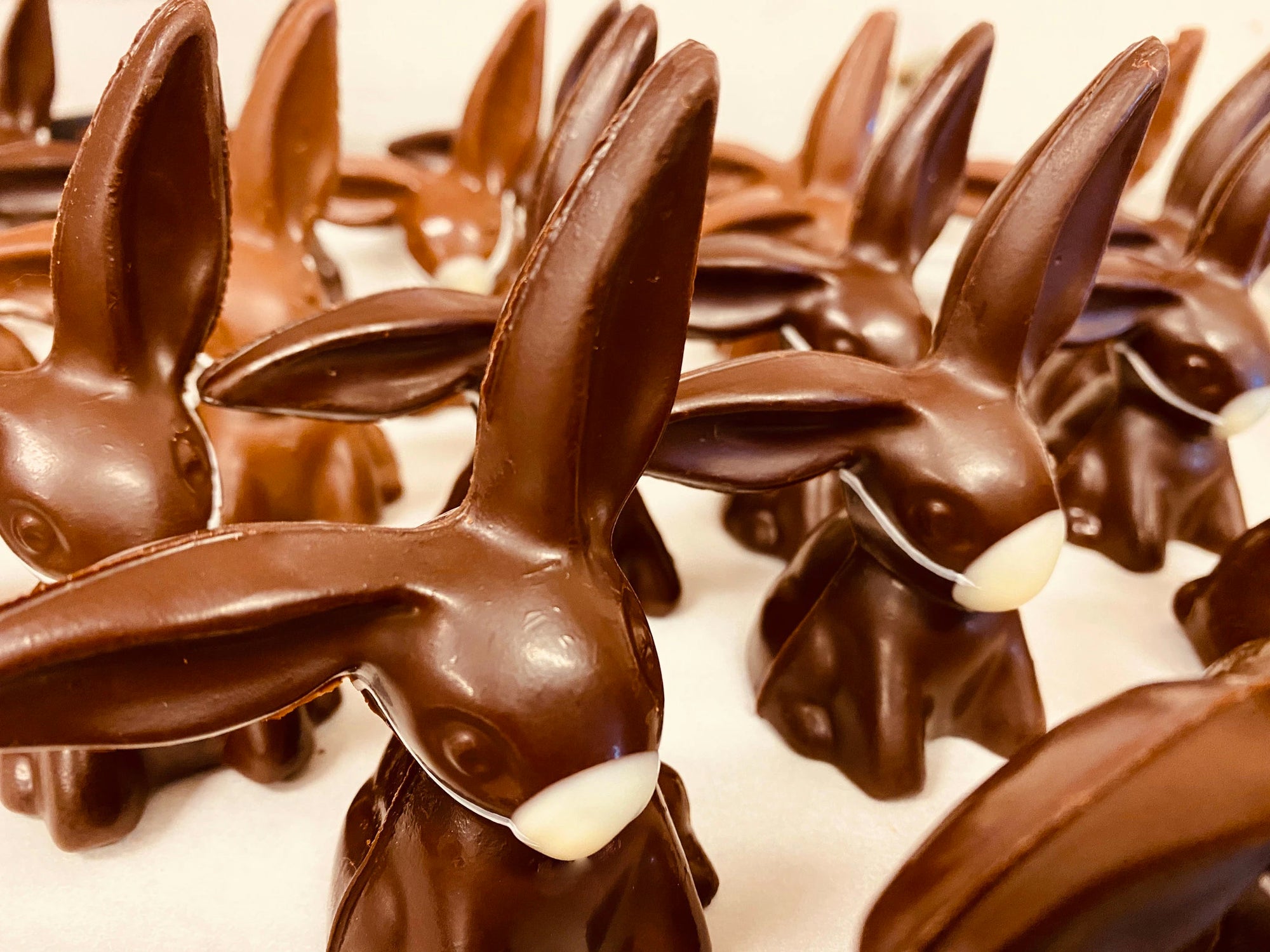 Picture of new solid chocolate Covid Bunnies, milk chocolate bunnies with white chocolate masks.