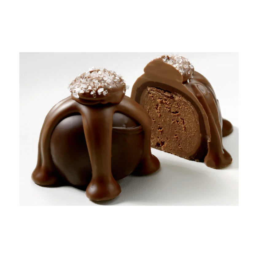 Sweet Shop USA - Truffles - Dark Chocolate Sea Salt Caramel 1.5oz (Bulk)