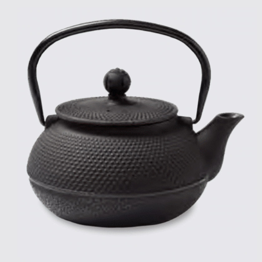 The Republic of Tea - Simplicity Iron Teapot (20oz)