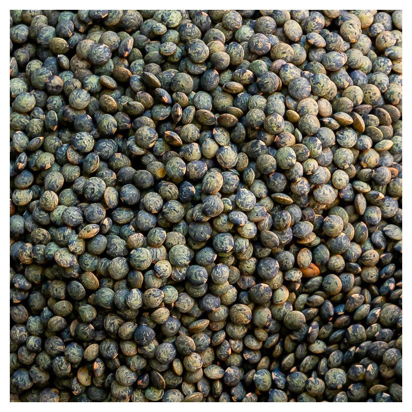 Trésors de Beauce - Organic French Green Lentils - Ferme des Trois Rois (Bulk)