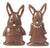 Nirvana Chocolates Boy and Girl Bunnies in Milk Chocolate
