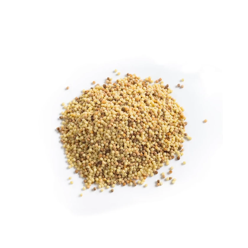 Ritrovo Selections Fior di Maiella Organic Toasted Sardinian Fregola (Bulk)