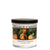 Village Candle - Clementine Evergreen - Small Tumbler