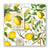 Michel Design Works - Lemon Basil Cocktail Napkin